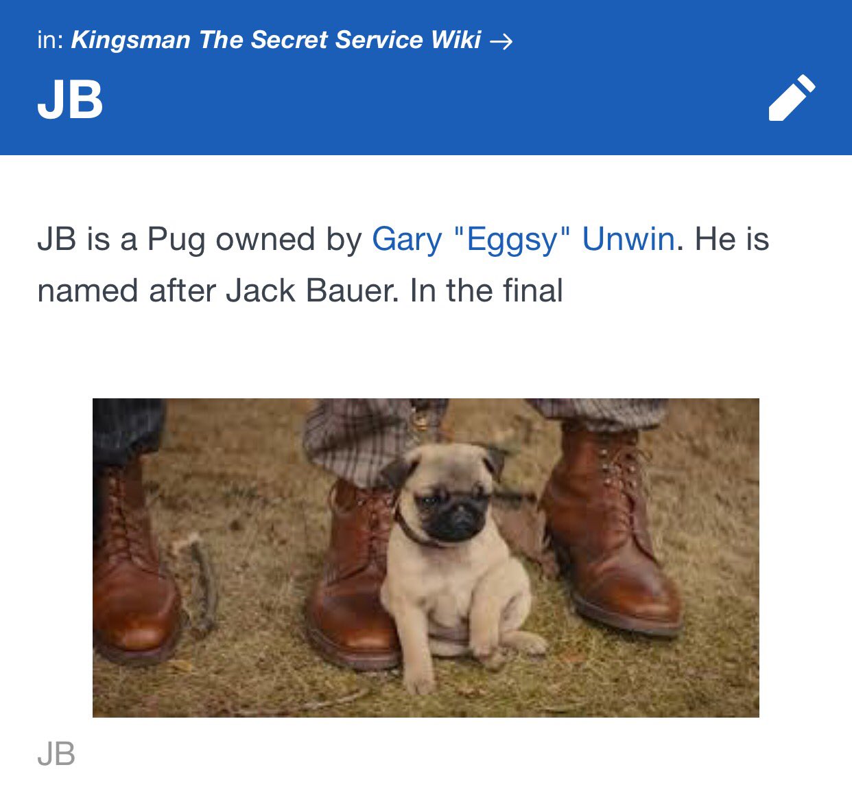 Jb The Pug On Twitter They Didn T Even Finish Writing My Wiki