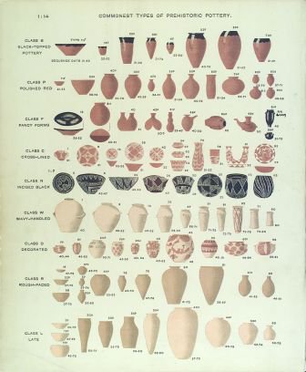 plasmids 101 a