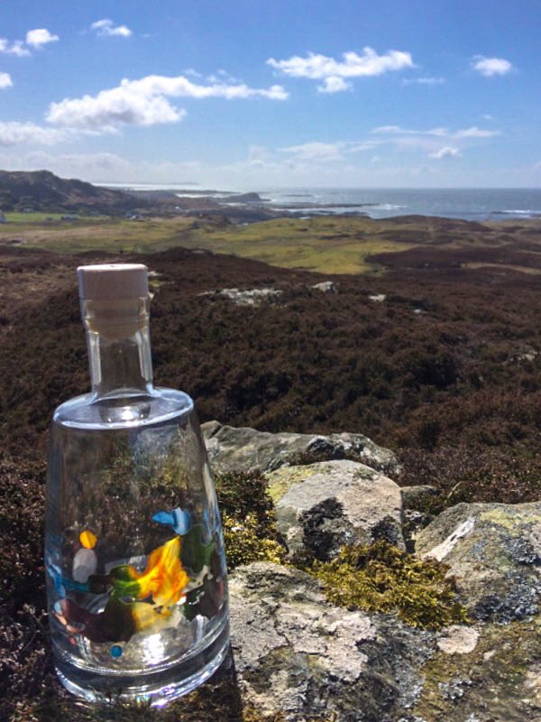 WildIslandGin's tweet photo. Doing a whirlwind tour of the seasons this week on Colonsay πβοΈπ¨π
#wildislandlife #springtimeinscotland https://t.co/8PJ16PA6It