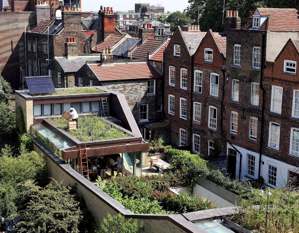 Doet u mee?! Onderzoek naar #biodiversiteit op #groenedaken: vlinderstichting.nl/biodiversiteit… #only5minutes #makessense <a href="/vlinderNL/">De Vlinderstichting</a> <a href="/Vogelnieuws/">Vogelbescherming NL</a> Dank!