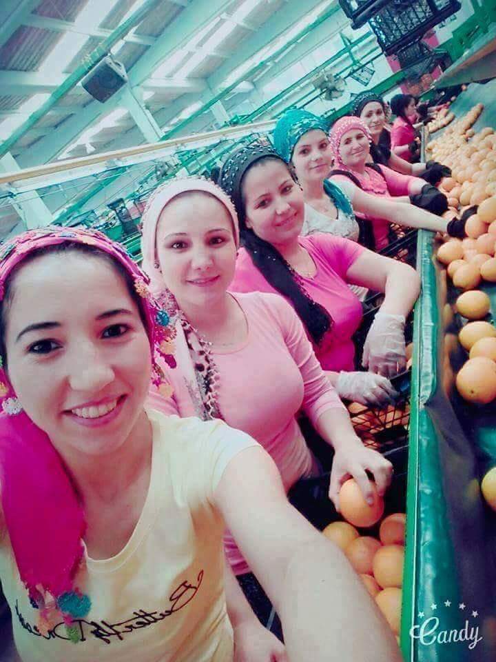 Hangisi sikersin 1_2_3_4_5_6