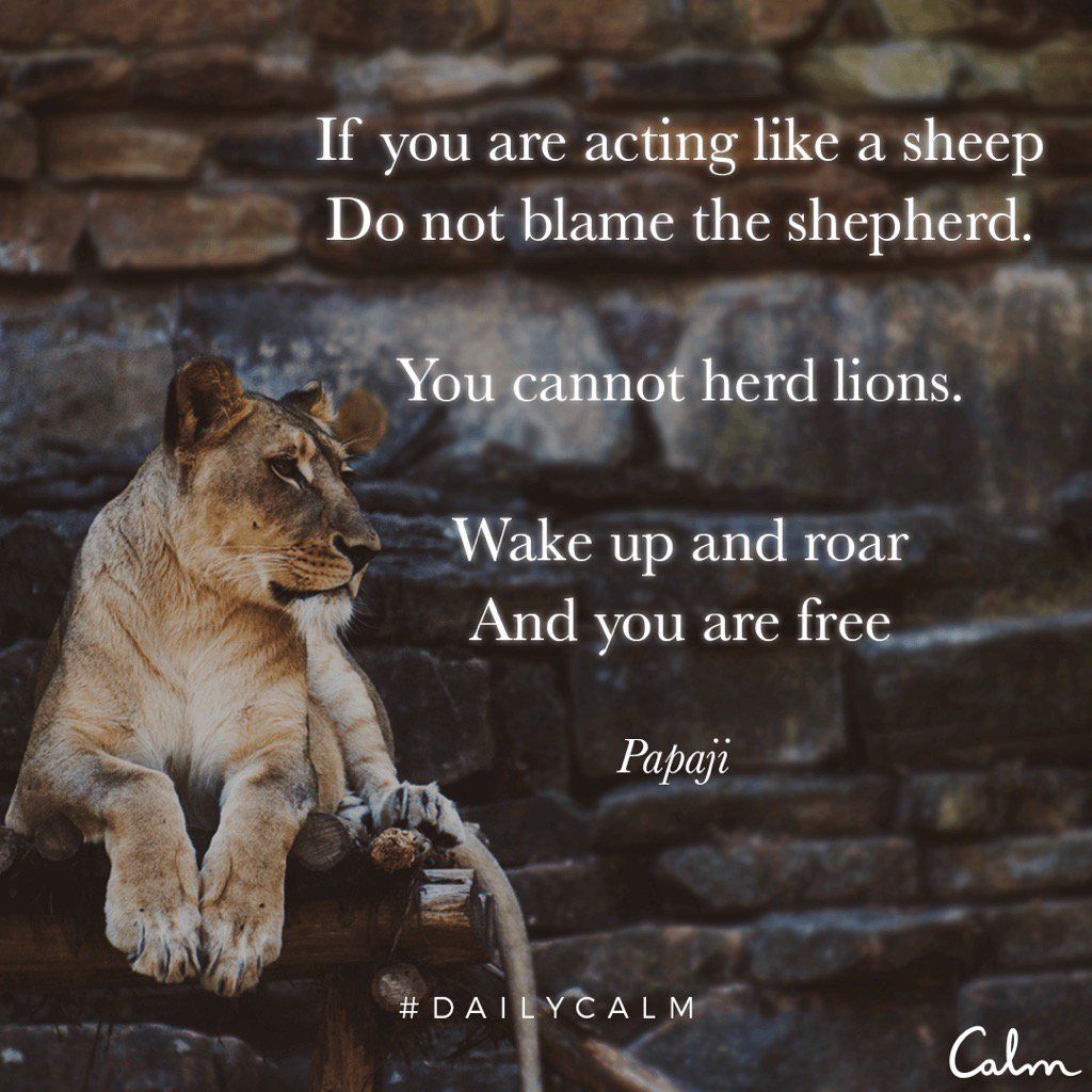 HistoryRecall's tweet image. #DailyCalm @calm calm.com/quote?id=859c2…