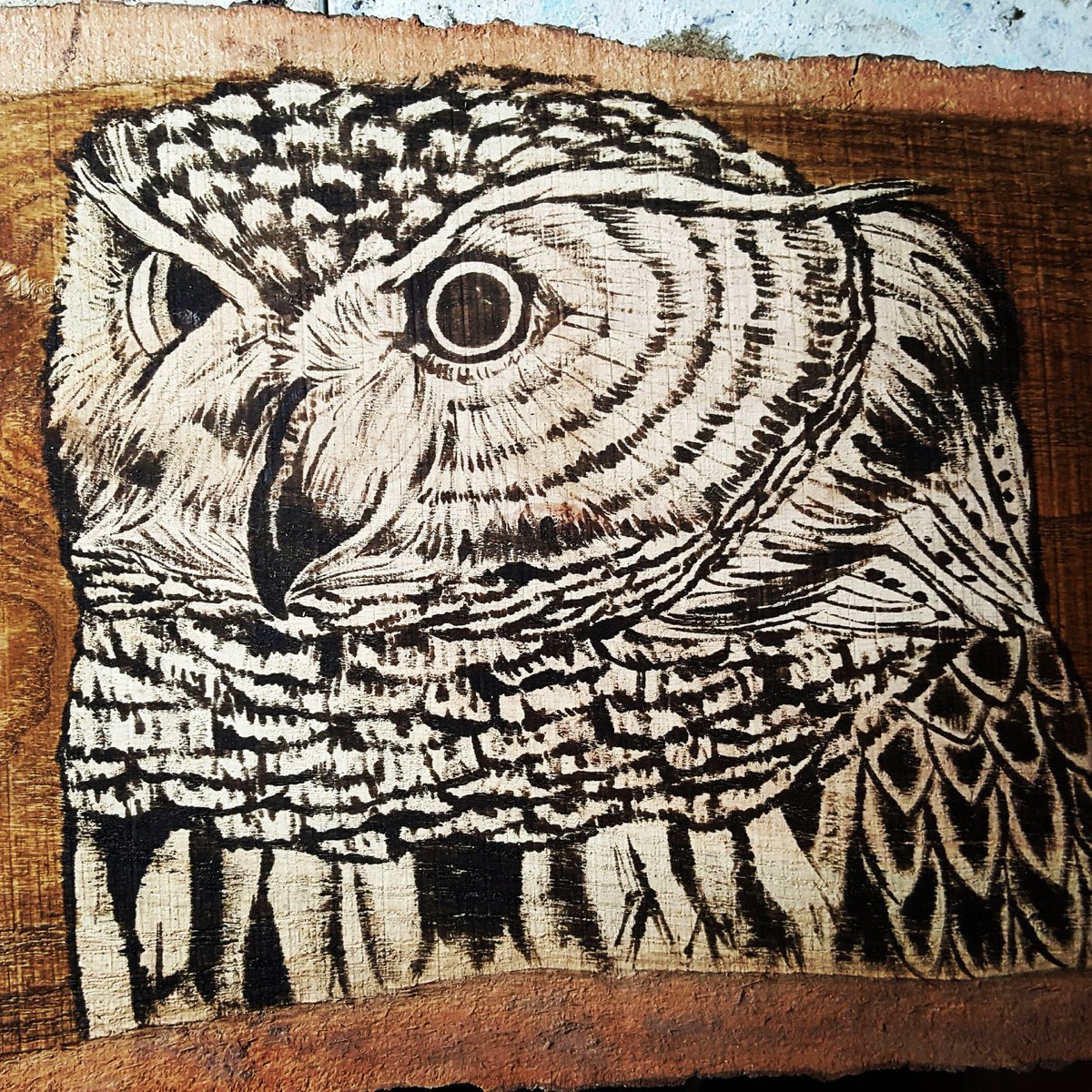 SimplyPallets's tweet photo. Our #new #owl #painting is officially done. Time to get it photographed and listed! #simplypallets #handmade https://t.co/3Z4SUL7xQz