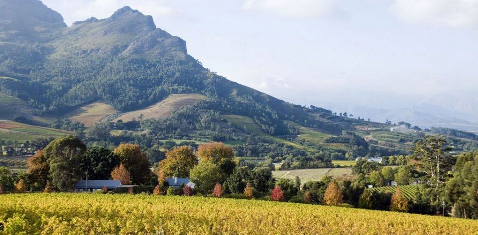 Visit #Stellenbosch for its internationally renowned beautiful environment, wine farms, street cafés, and quality wines