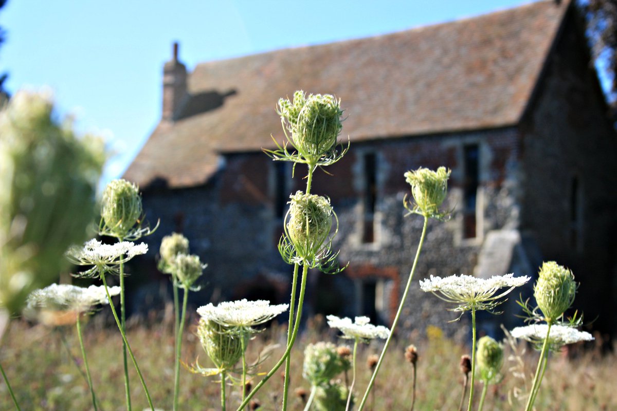 VisitCanterbury's tweet image. Rediscover #Canterbury with these events at @wisewordsfest. Some wonderful ways to explore our beautiful city bit.ly/2q6hzA0 #arts