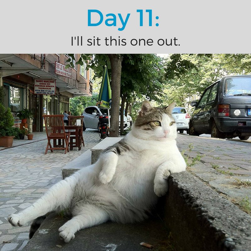 XUCareer's tweet photo. #KittyCountdown to Summer 2017 https://t.co/P2Q4pye7Ur