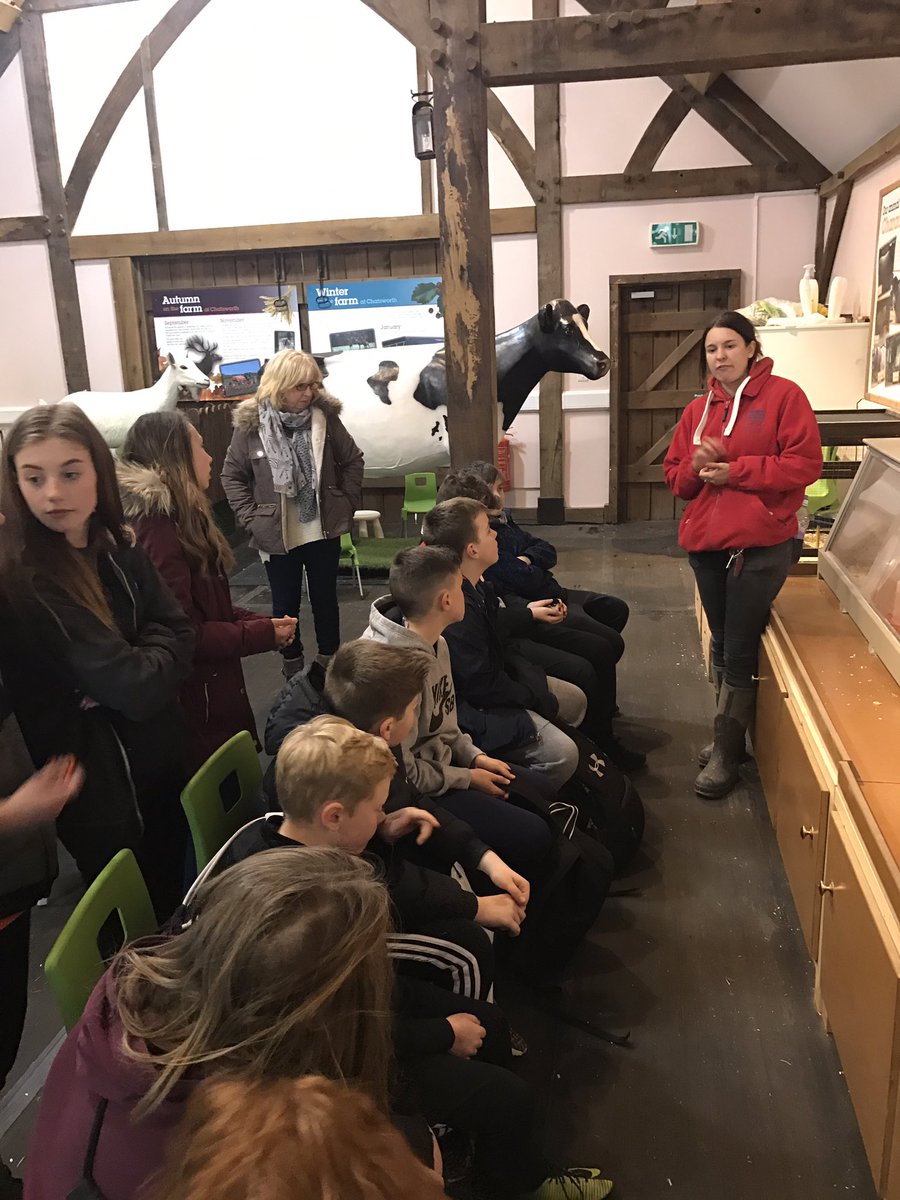 MrHarrer's tweet photo. Fun day at Chatsworth farm with 51 year 7's https://t.co/pj9cl1as9S