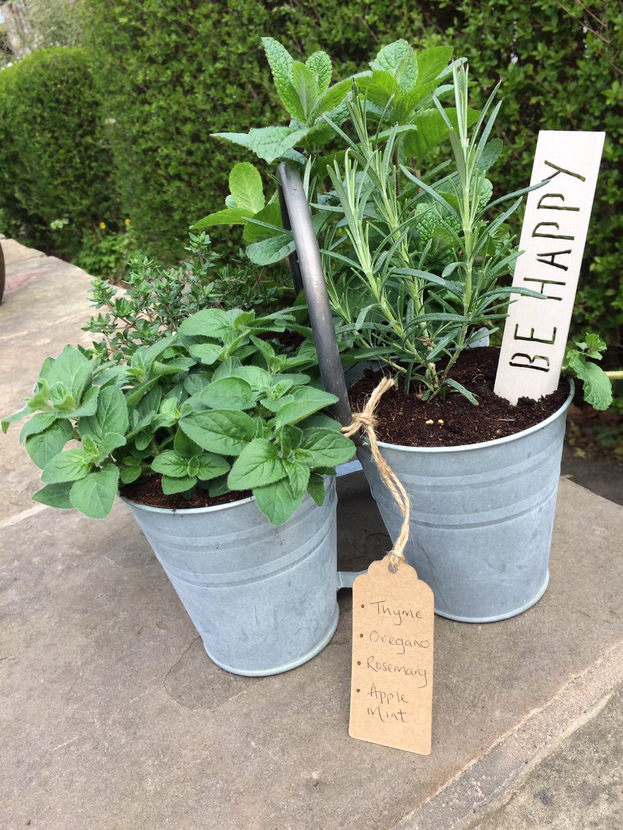Herby planters for sale today, love them 🌿🌱🍃😍rosemary, thyme, oregano and apple mint.
