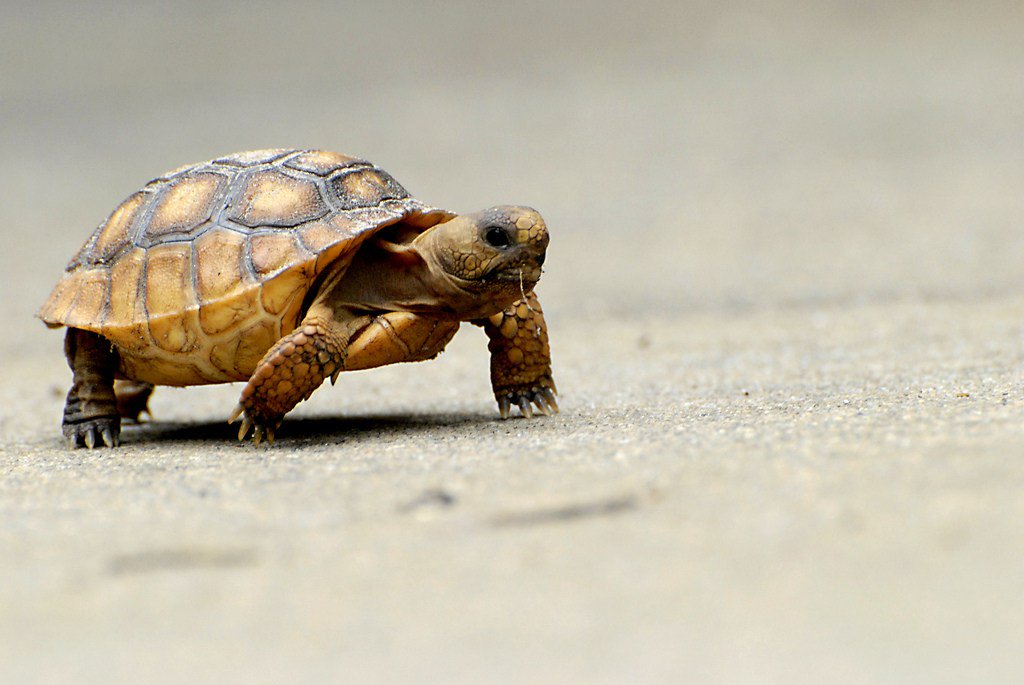 LibLostFound's tweet image. Catching Up librarylostfound.com/2017/04/25/cat…