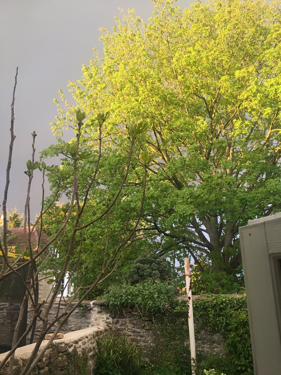 DOUGH_BROS's tweet photo. Nice light before the storm.. https://t.co/XGbVWcUUEO