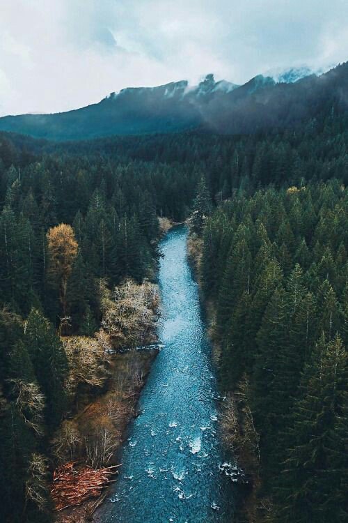 earthy_vibes tweet picture