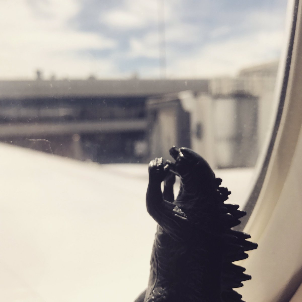 pennyblackio's tweet image. @united You should have parity for pilots Gojira is calling for your pilot to get his pants on so we can go. #UA1863 #MissingPilot #delayed