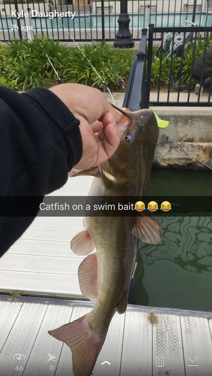 KyleDaugherty5's tweet photo. Yo @LunkersTV @FishinWithFlair @FishingTheMW @mhsiao8 you ever catch catfish on swim baits? Not once but twice in the same hour? 😂 https://t.co/eHkbIJhgxX