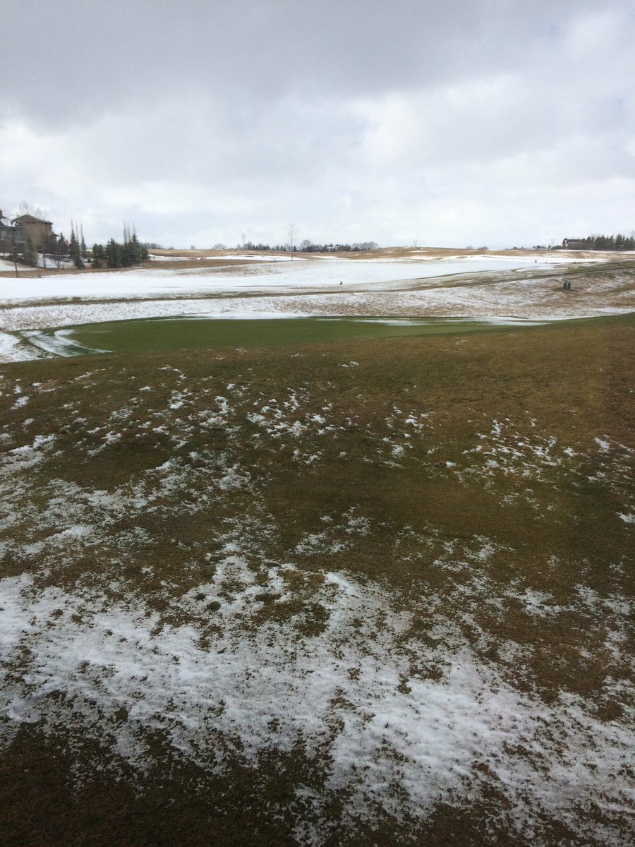 NikirkDave's tweet photo. Mother Nature 8 up 7 left to play!!! #springincalgary #needmoremelting #springbanklinks #golfisgood https://t.co/m9xrzCOHzQ