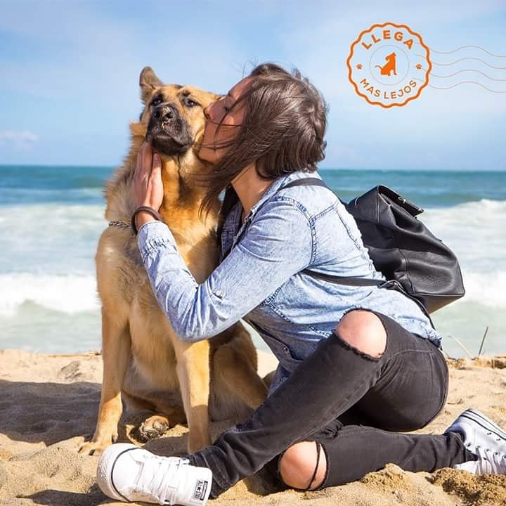 paseandoblondi's tweet photo. Soy muy pesada, lo sé pero me encanta darle muchos besos 💋💋💋
¿No os pasa lo mismo?
#llegamaslejos #barcelona #roadtrip #effitix #amorperruno https://t.co/z5xwFNQiTn