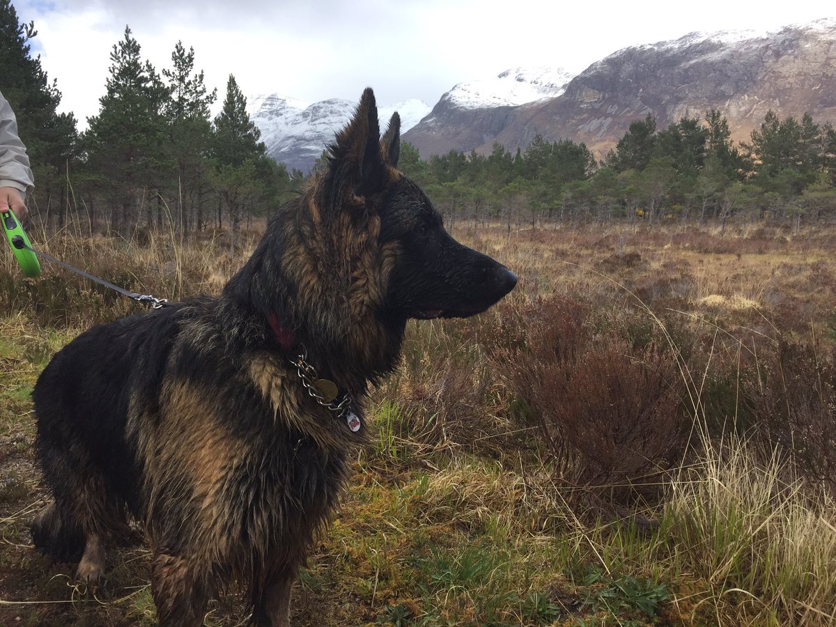 SolartheGSD's tweet photo. #solarinScotland my first outing https://t.co/UhtZ3OKYsj