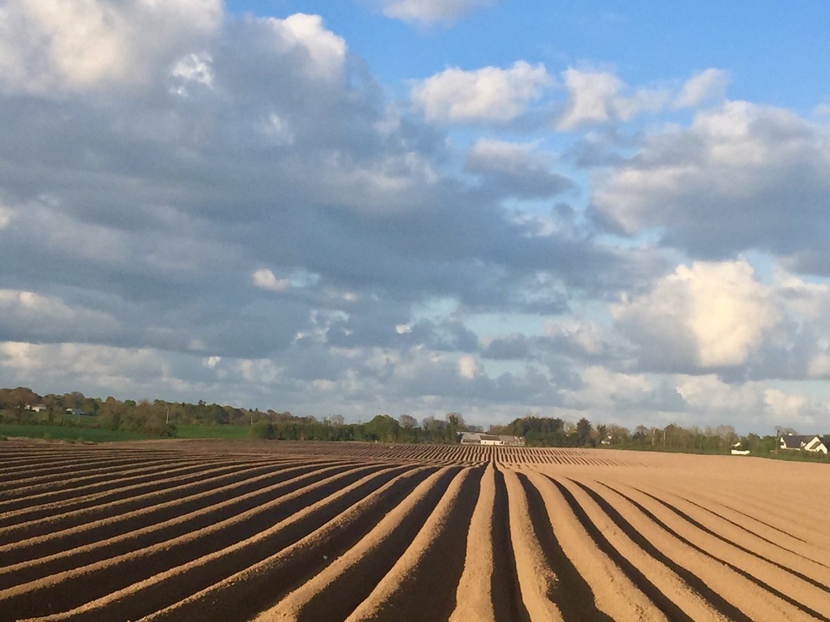 Ready for the spuds 🥔 #wexford <a href="/visitwexford/">Visit Wexford</a>