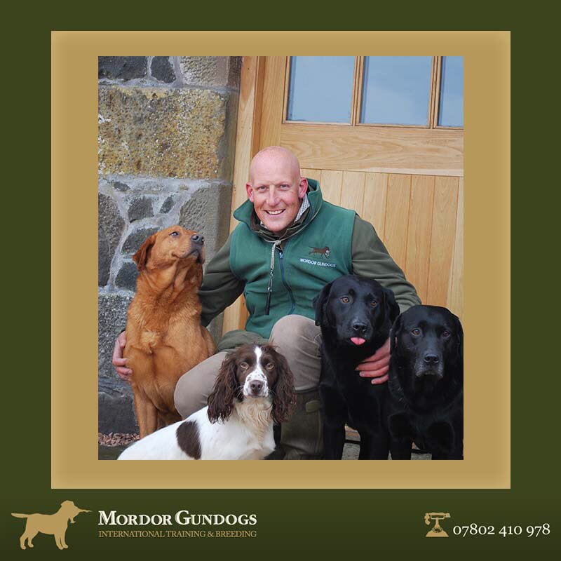 mordorgundogs's tweet photo. Stay tuned all week while the team and I take over the @ShootingTimes Instagram account https://t.co/SYBO0YceIc