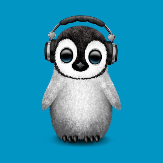 IARRecords's tweet photo. Happy #WorldPenguinDay https://t.co/QBIoL8lpJF