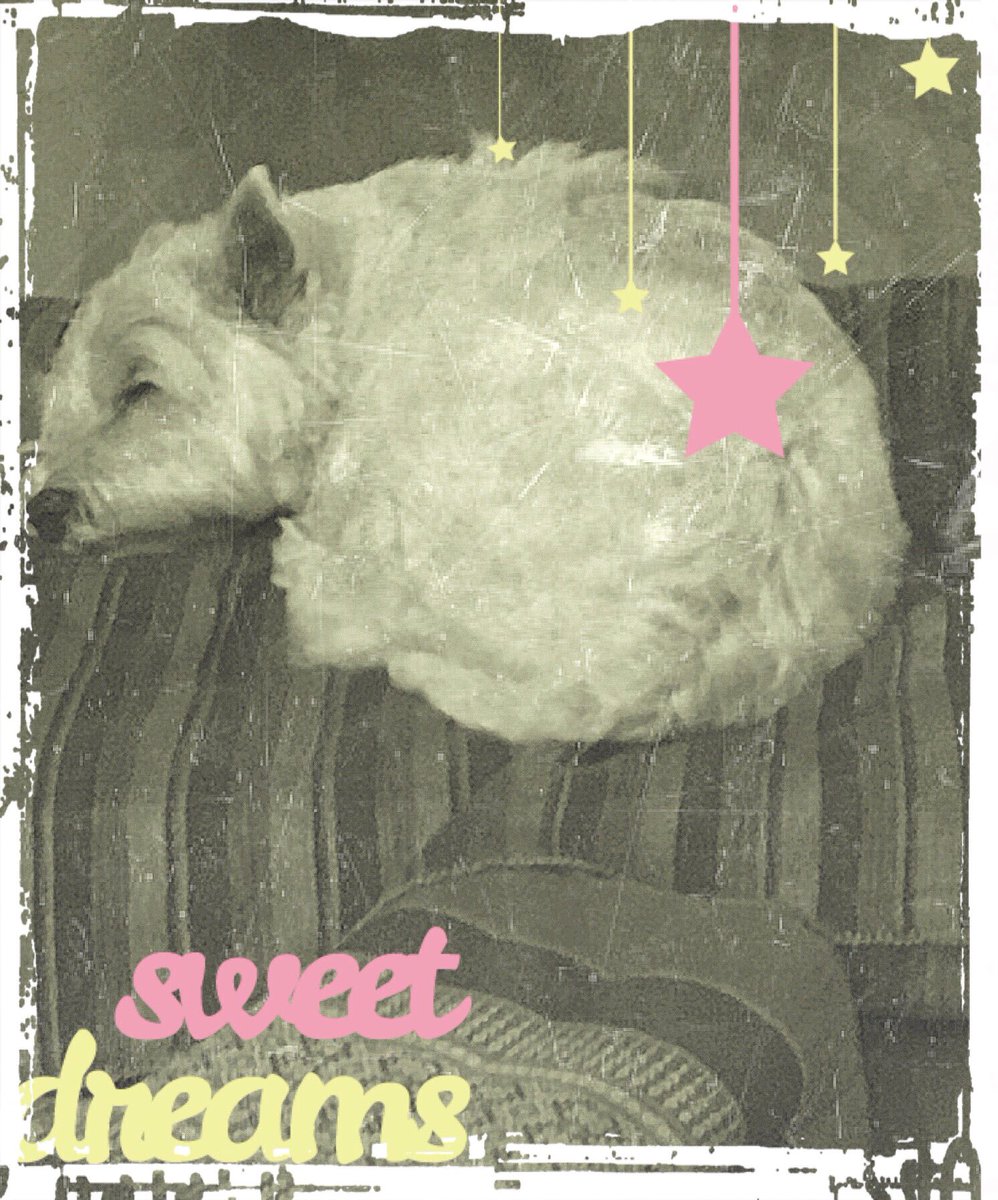 #TL schönen Abend und guats Nächtle ✨💫😘