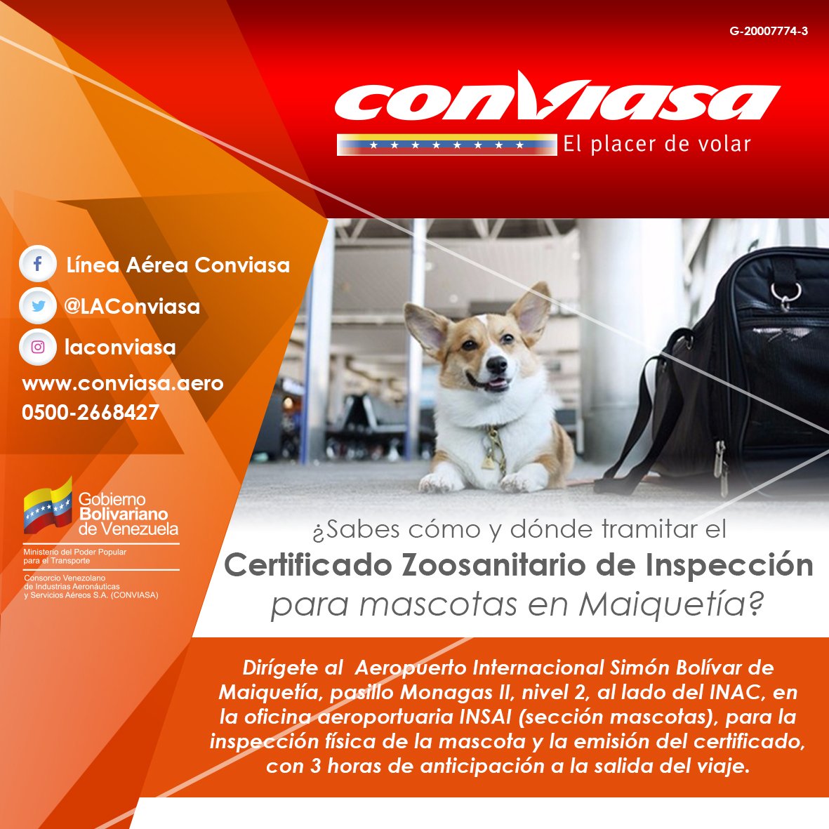 LAConviasa's tweet photo. Conozca los requisitos que debe presentar al momento de viajar con su mascota https://t.co/YVhkHlSnFL