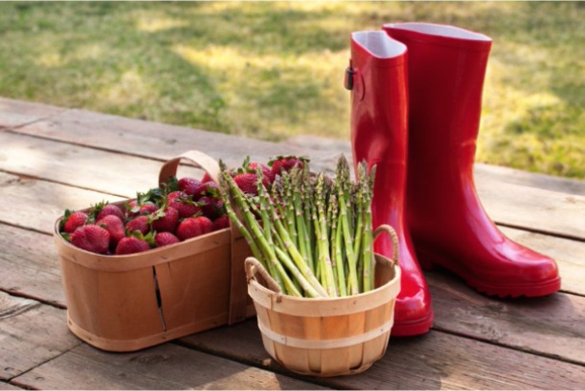 Super Sommer Kombination: Spargel, Erdbeere, Kräuter! Bei uns am 02.05.17. im #Kochkurs 
#kochschulestuttgart #kochen #lecker #stuttgart