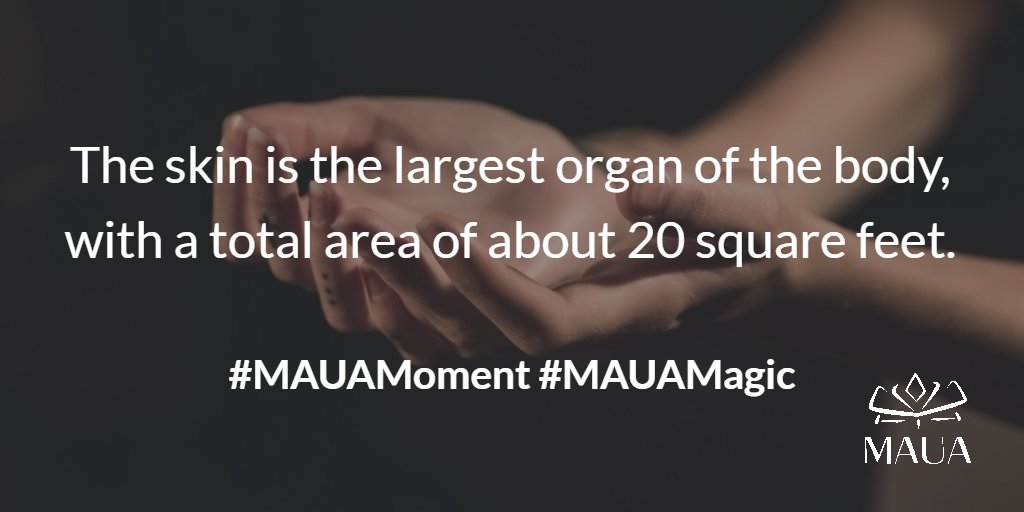 MauaSkin's tweet photo. Skin is the largest organ of the body, with a total area of about 20 square feet #HealthySkin #MAUAMoment #MAUAMagic https://t.co/DuRIFyucXg https://t.co/0bhsWckMxd