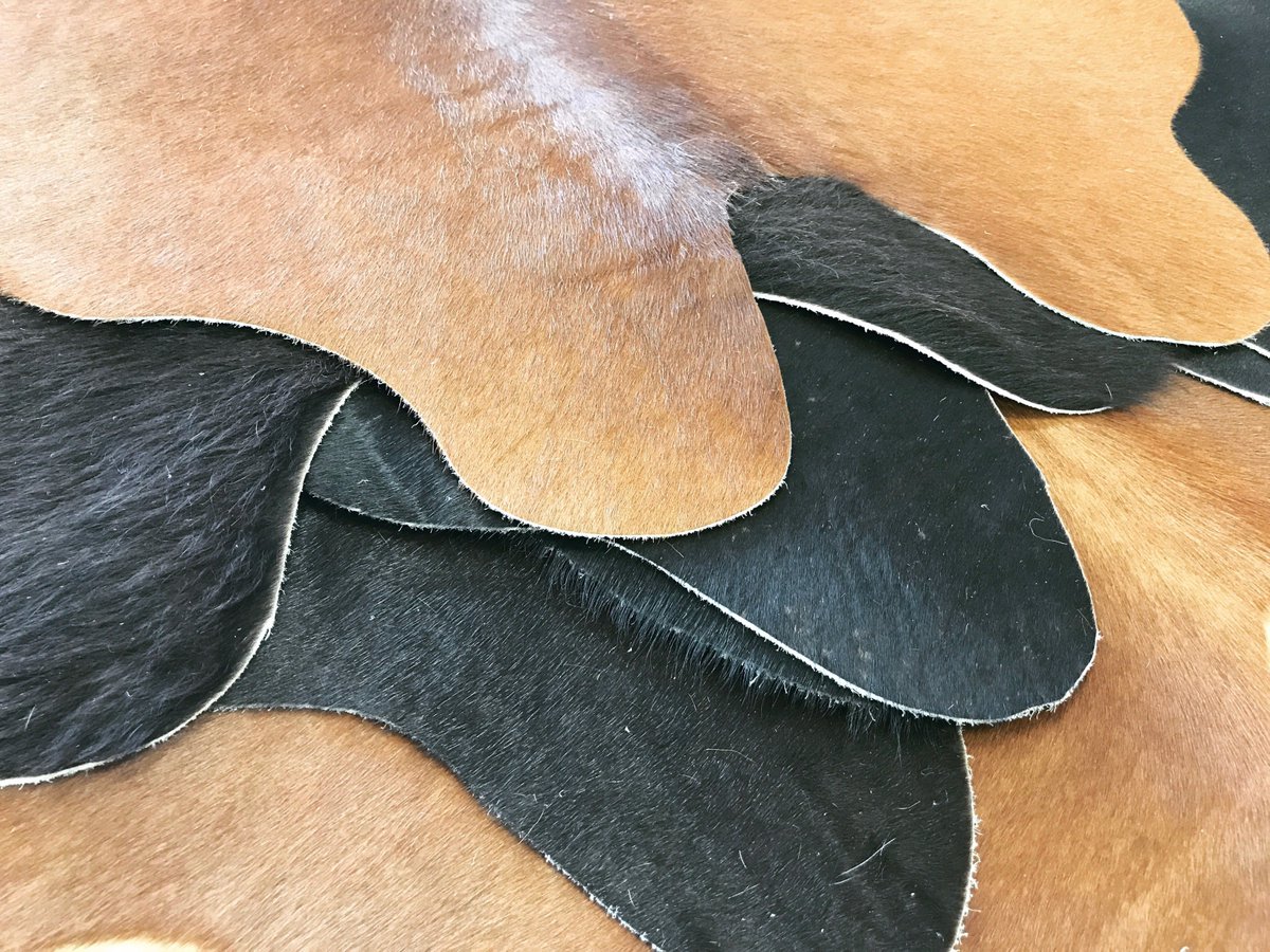 Cowhide Rugs Ft Worth Bryont Rugs and Livings