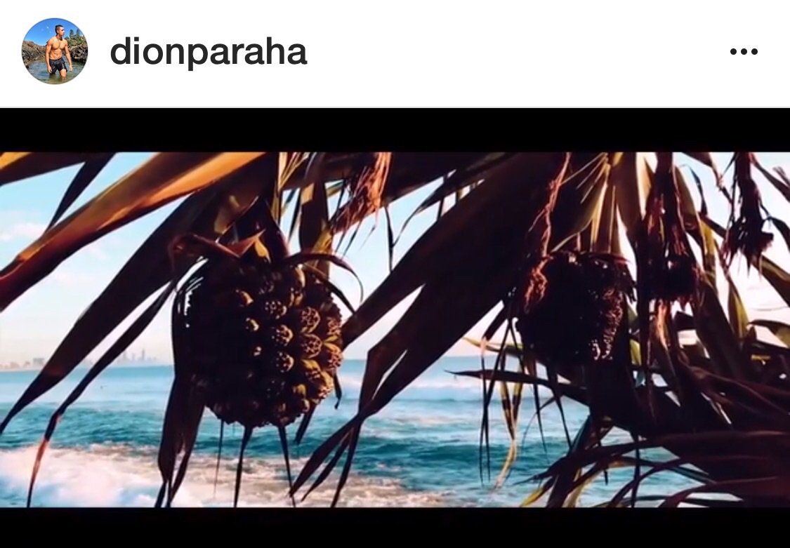 DeliciousMind's tweet image. Sometimes someone else's vision leads the light - instagram.com/p/BTRB1NtAsSl/