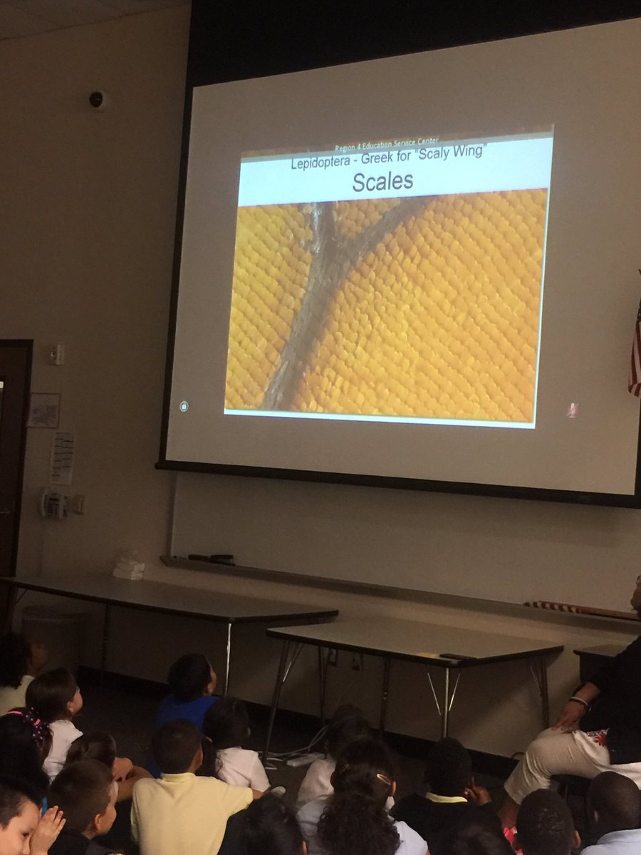 LaVa_Sci's tweet photo. Thank you @texaswildlife Monarch Butterflies videoconference was very engaging @HolmquistES #hmq2nd @AliefScience https://t.co/U76XgEpLve