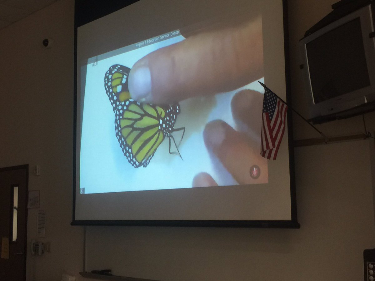 LaVa_Sci's tweet photo. Thank you @texaswildlife Monarch Butterflies videoconference was very engaging @HolmquistES #hmq2nd @AliefScience https://t.co/U76XgEpLve