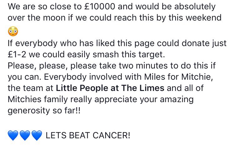 Miles For Mitchie tweet media
