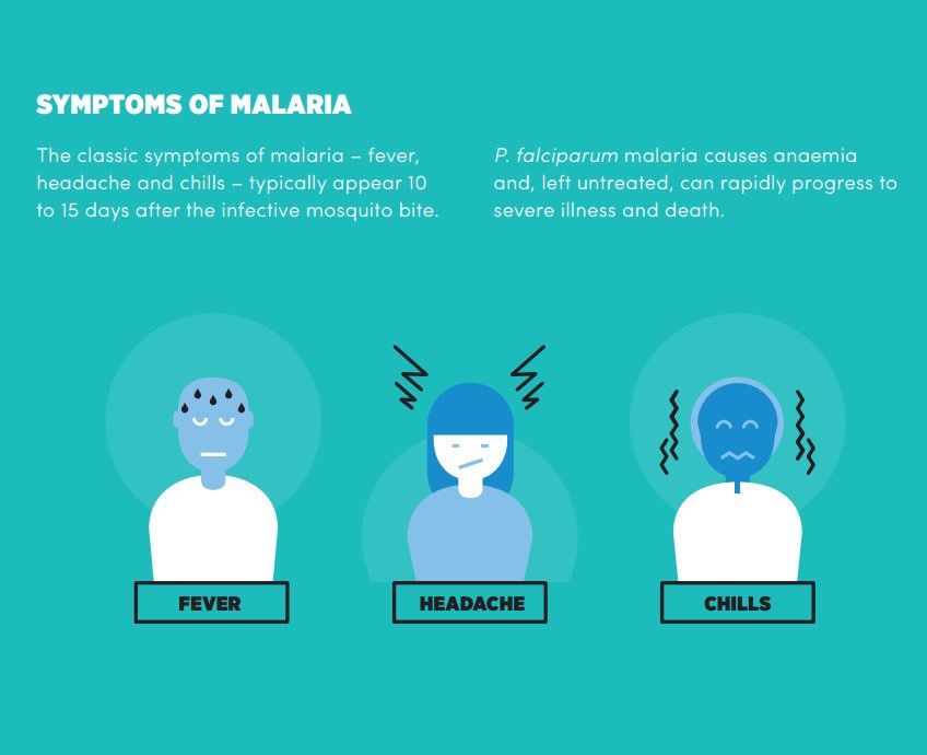 elissapateman's tweet photo. #Malaria symptoms usually appear 10-15 days after the infective mosquito... https://t.co/iU7w7XSb7I by #NaTHNaC via @c0nvey https://t.co/rxjEf9wHb3