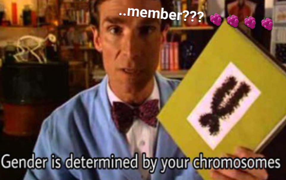_Burnt0ut's tweet photo. @itzzkait Basic biology??? Ohhhh yeaaa I member!! 🍇🍇🍇🍇 #BillNyeShysterGuy #sciencebasics #memberberries https://t.co/Lwc8eoNElc