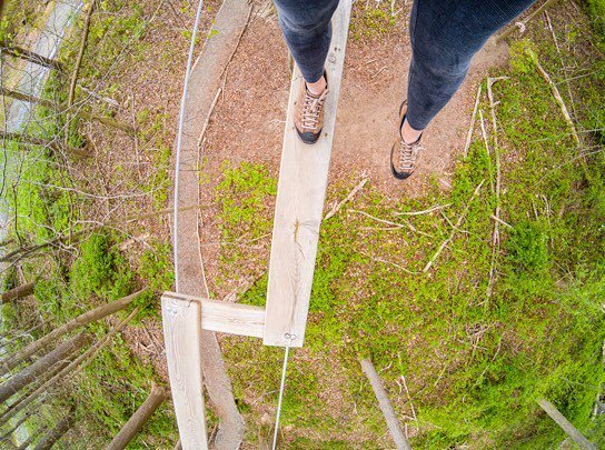 GoApeUSA's tweet photo. Every adventure requires a first step 📸: @destateparks #goapeusa #de365 #livelifeadventurously #lumspond #delegram… https://t.co/JgFz3qatnb https://t.co/U60rNiQHFh