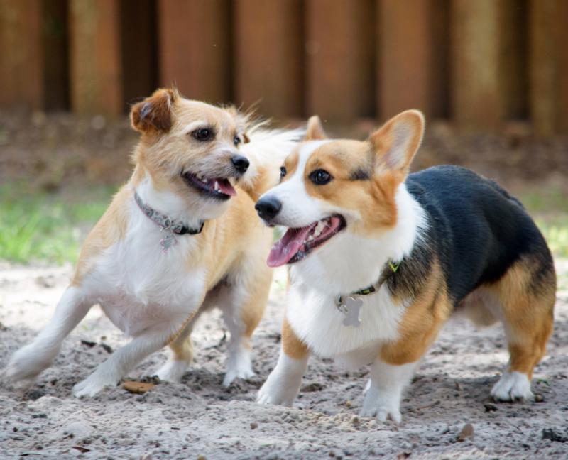 In Case You Missed It - Our April Newsletter conta.cc/2p0woqp