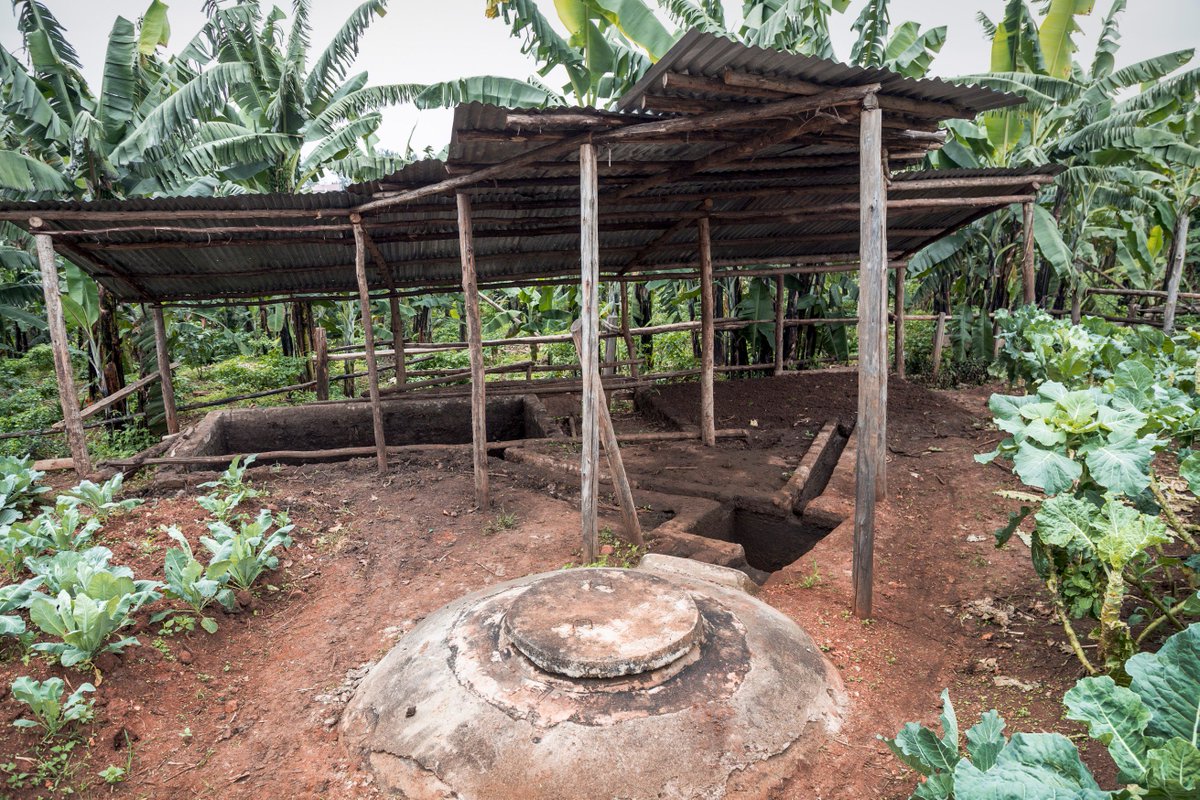 Hivos East Africa tweet media