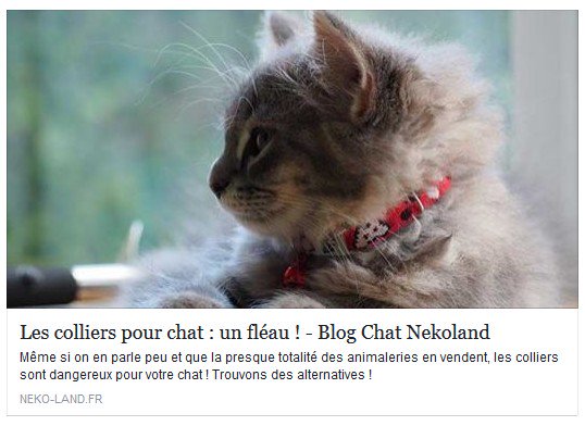 NekolandFrance's tweet photo. Le Danger des Colliers pour Chat ! Informations utiles https://t.co/us3F3dEfAC #chat #chats #astuces #conseils #collierchat #collierpourchat https://t.co/ewulstppn7