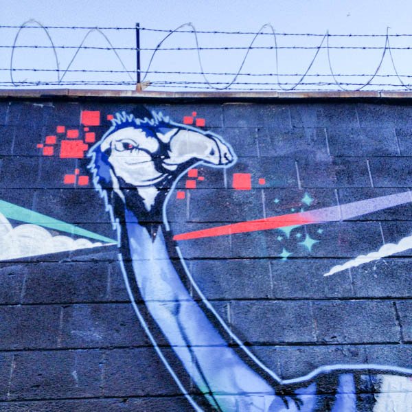 streetartco's tweet photo. #streetart in #chicago prison bird https://t.co/olw6vTMAb5