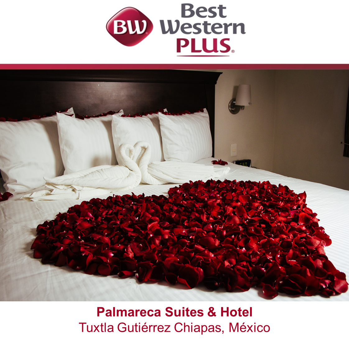 PalmarecaHotel's tweet photo. #FelizMartes el mejor lugar para celebrar un evento especial #BWPlusPalmareca https://t.co/HCmAWEaqHO