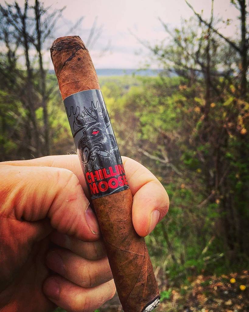 FamousSmokeShop's tweet photo. Photo by @rebel_ar15 -  Just Chillin with the Moose👊  #sharetheleaf #chillinmoose #botl #cigarpic #famoussmokeshop… https://t.co/16aupDKD0T https://t.co/t99tDfbJyL