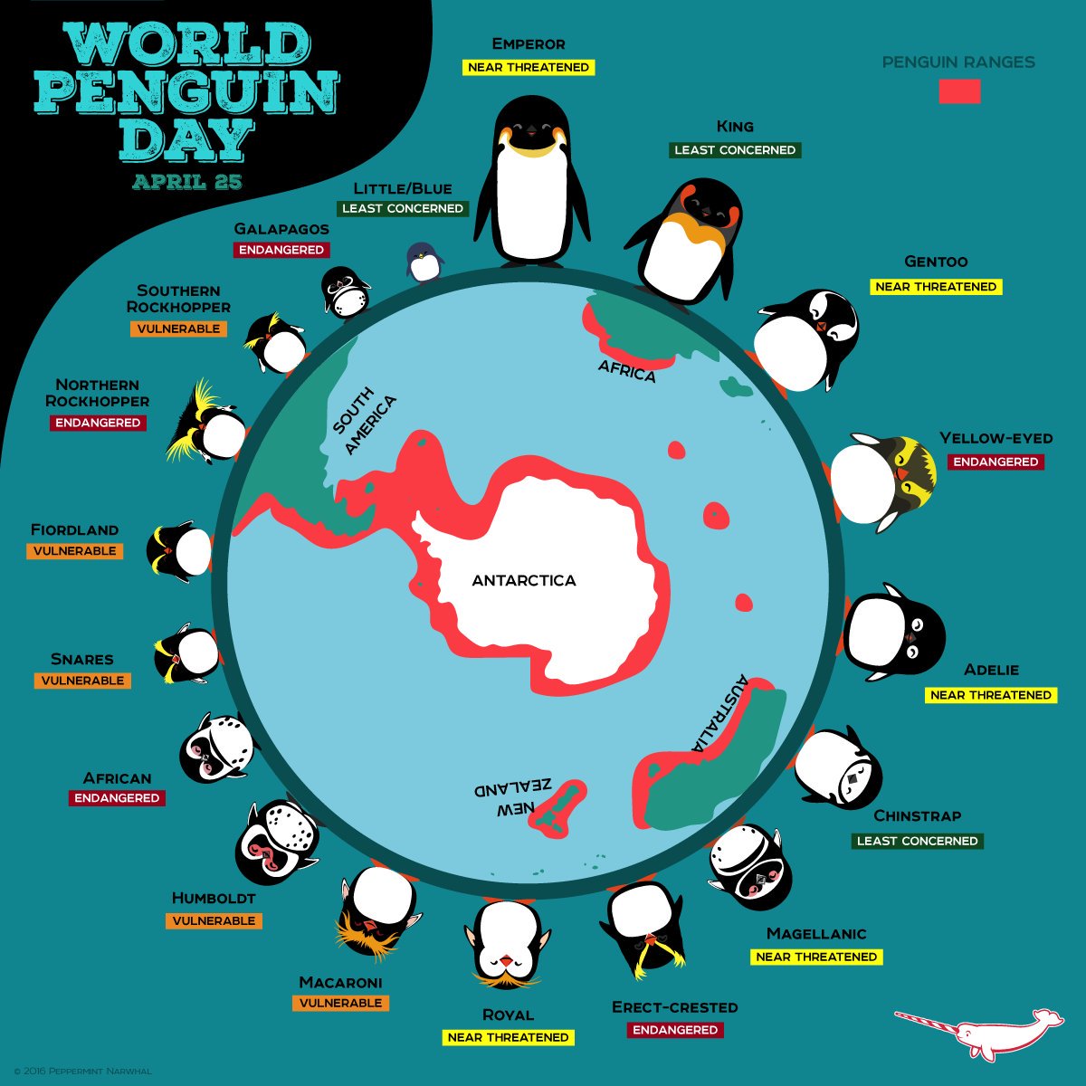 JustinEdward87's tweet photo. #WorldPenguinDay https://t.co/VMpFdk5eky