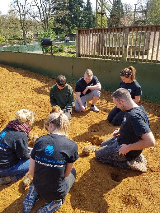 AdamNash1990's tweet photo. #throwback to one of my fave moments this month - in the meerkat enclosure @BealePark as part of our #LifeAtPega charity day! 🐒❤️ https://t.co/xhfiyFaIH4