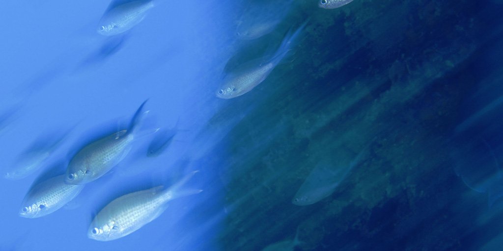 UberEng's tweet image. #EngBlog&apos;s latest: how #Uber #Engineering moved to #immutable collections to migrate #Android apps at scale: eng.uber.com/immutable-coll…