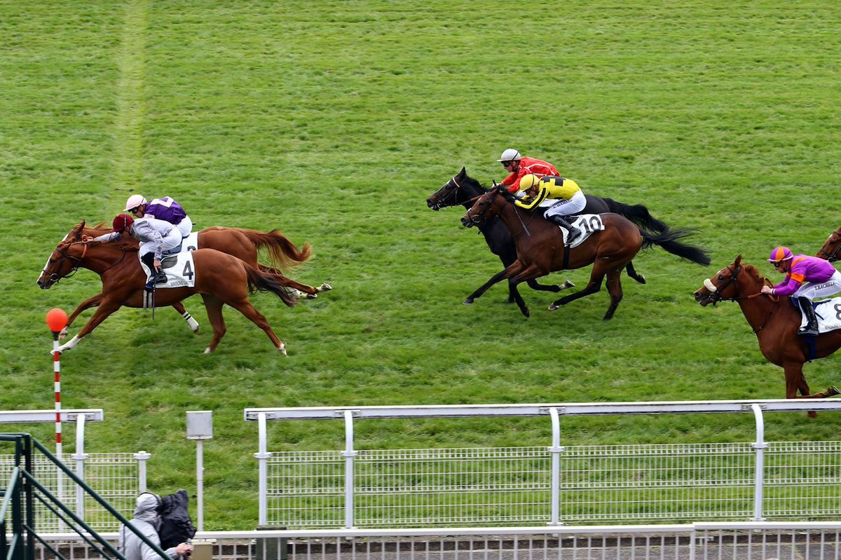 FGProprietaires's tweet photo. En remportant le Prix Sylvan, Sedary a ouvert son palmarès et offre un 1er succès à Style Vendôme, héros d'une Poule d'Essai des Poulains. https://t.co/YvpxZs1C43