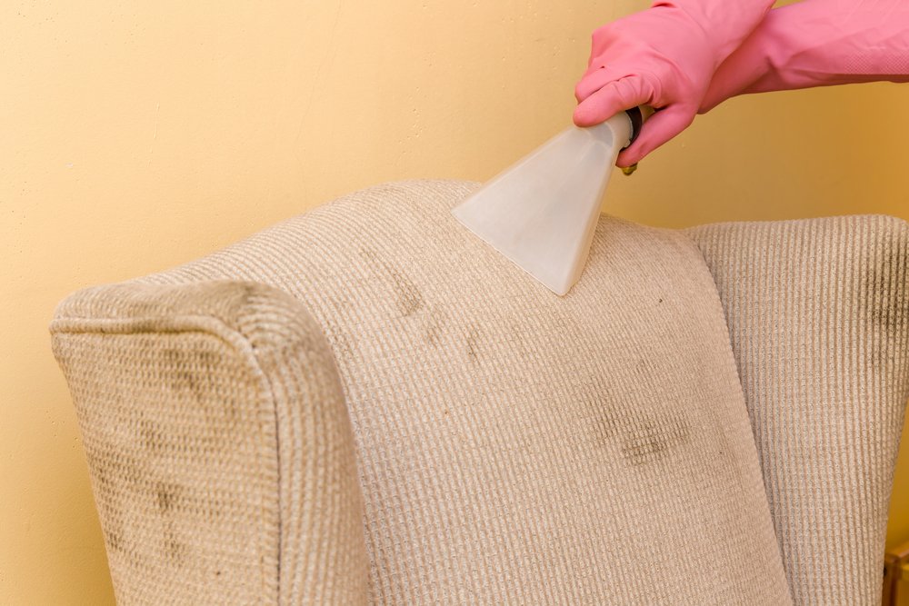 Cleanmasterssaz's tweet photo. We clean any size sofas, carpets, rug, mattress and car interior! https://t.co/ycKD1c87oT #carpetcleaning #cleaningsofas #carpetmasters https://t.co/Lv1YksiQqq