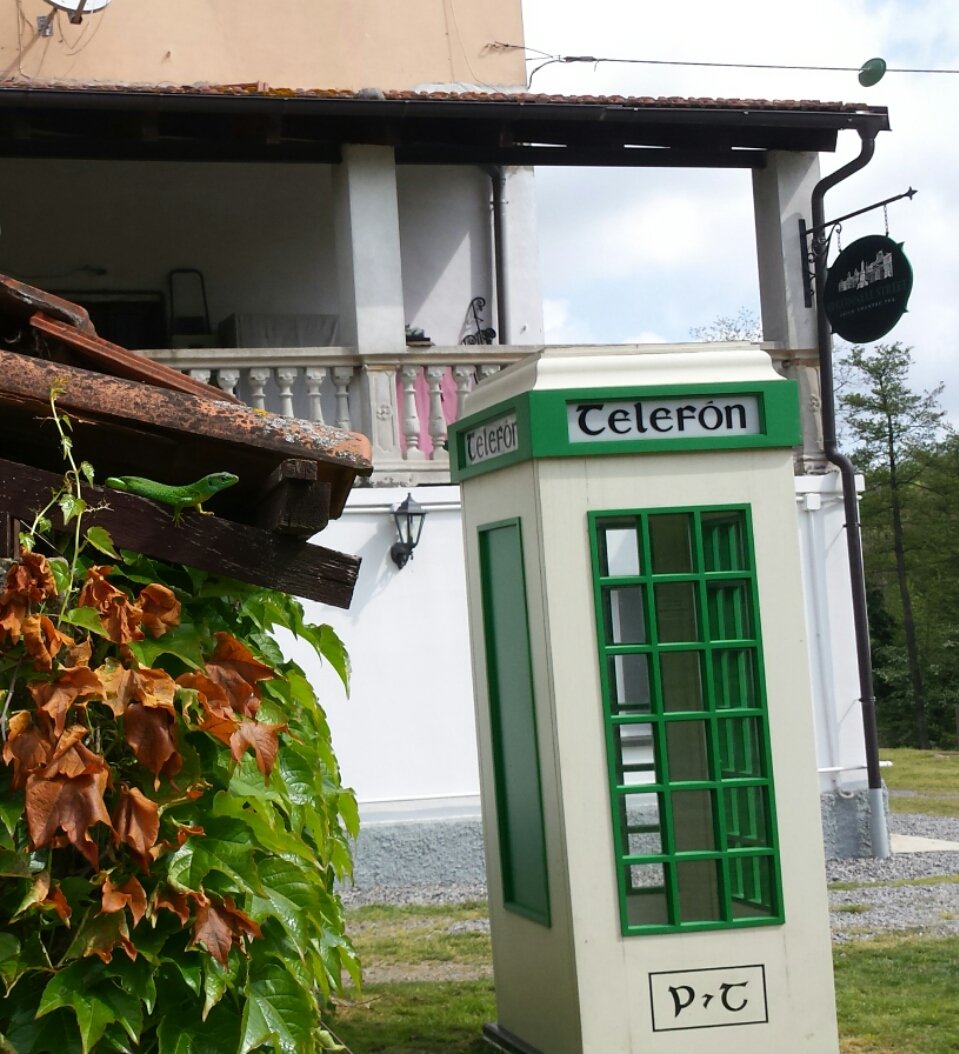 OConnellStreetP's tweet photo. Green Lizard admiring the beautiful Irish Phone Box 😊 @IrishTelephoneB https://t.co/6ZWUJaYxh0