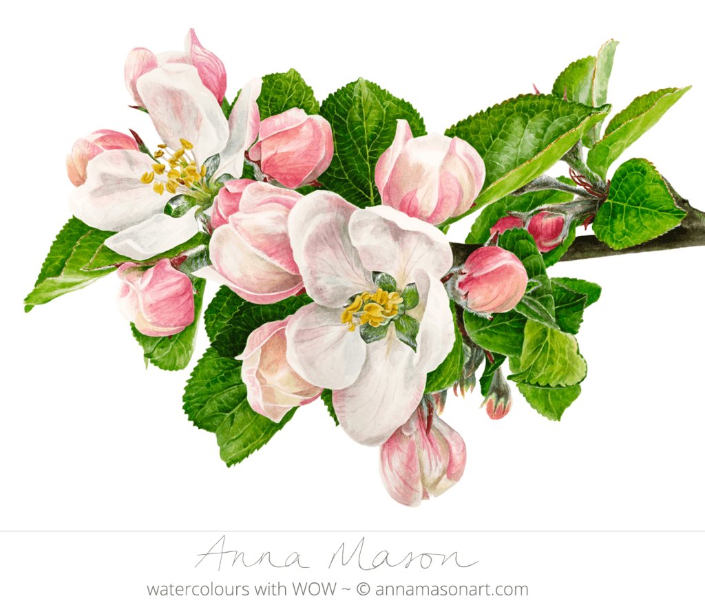 Anna Mason tweet media