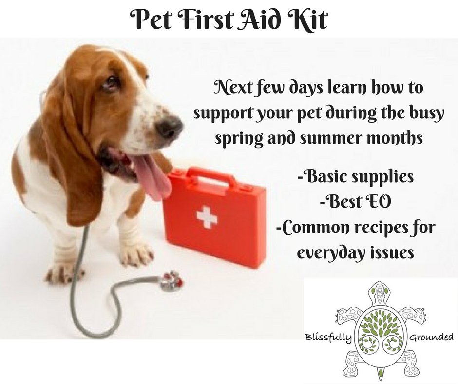 BlissGroundEO's tweet photo. #SpringCleaning #NaturalPetSolutions Follow this week for great tips and recipes for your furry family members! https://t.co/MZTiEltqXD