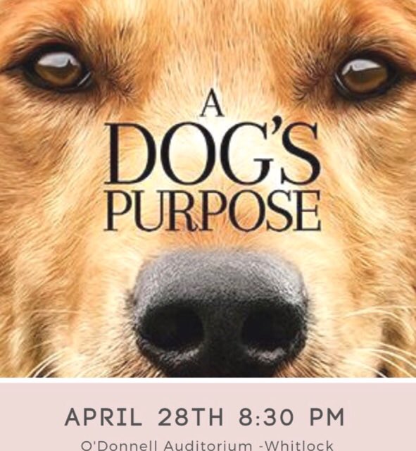 EKU_SGA's tweet photo. Join us this Friday for another SAC Movie Night! #YourSGA https://t.co/QE0zXzZM74